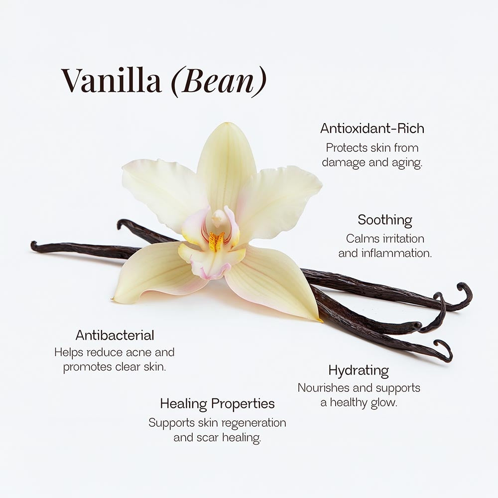 Vanilla Bean Whipped Balm