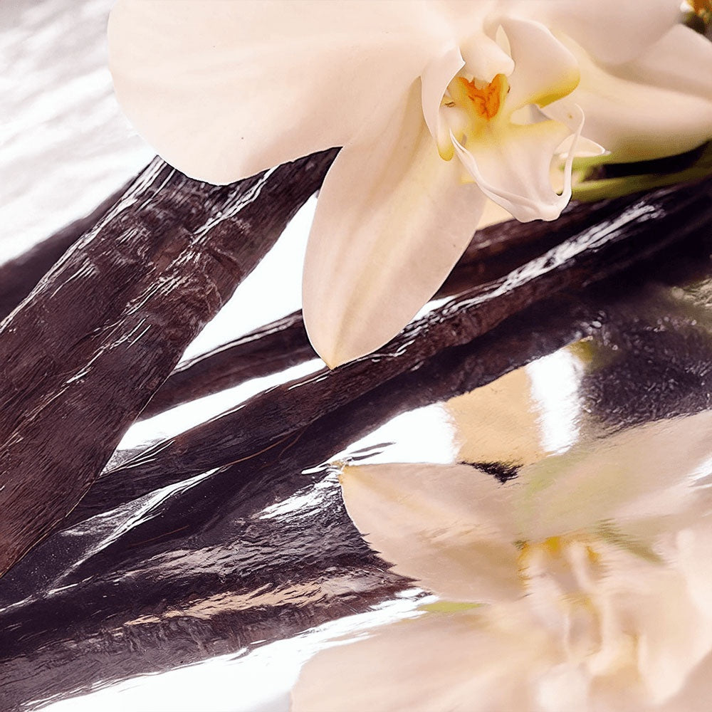 Vanilla Bean Whipped Balm