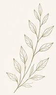 Decorative botanical artwork